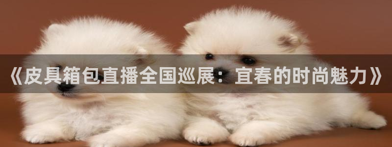 卧龙凤雏娱乐图