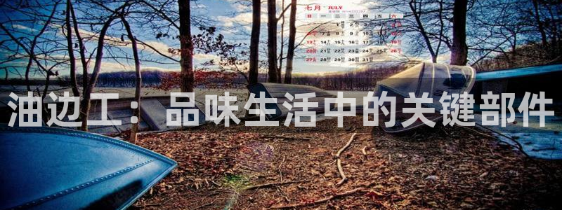 卧龙娱乐下载安装