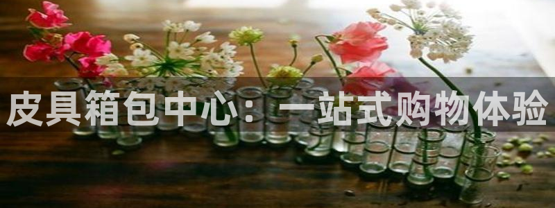 卧龙娱乐怎么注册会员