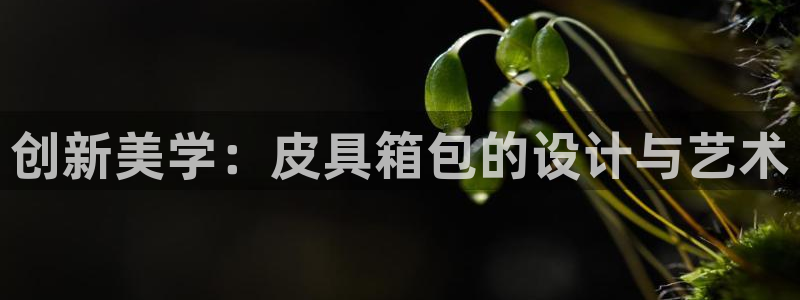 娱乐资讯君卧龙