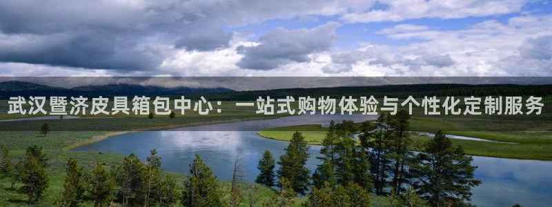 SKY娱乐卧龙招商60447