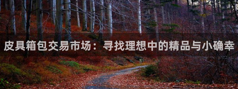 pt娱乐 卧龙招商60447