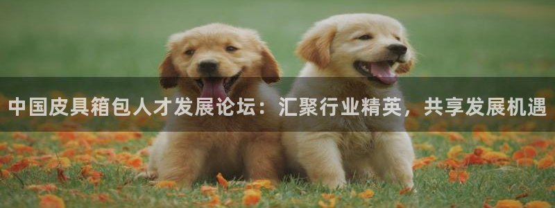 卧龙娱乐地7O667