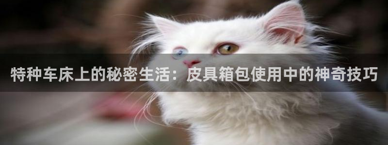 卧龙娱乐在线直播平台