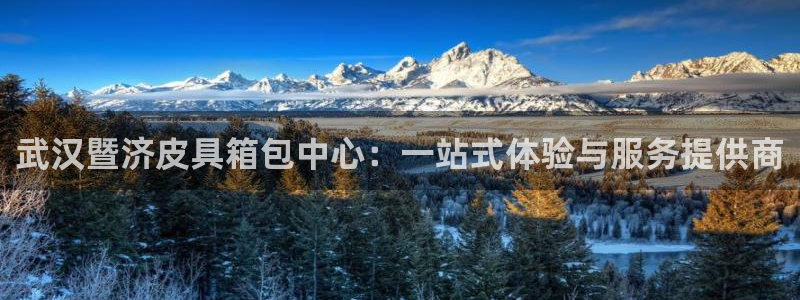 卧龙娱乐老板叫什么