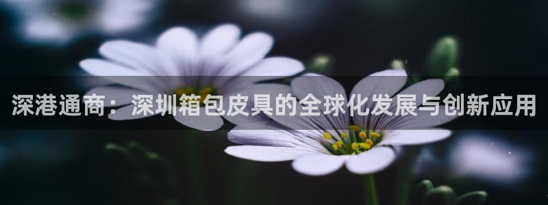 SKY娱乐卧龙招商60447