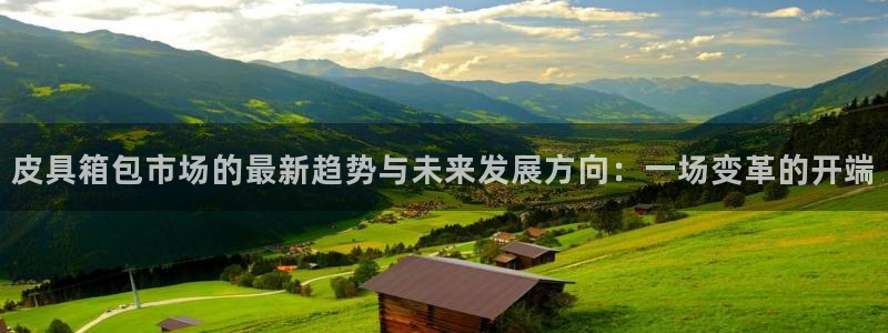 卧龙娱乐总代理是谁呀