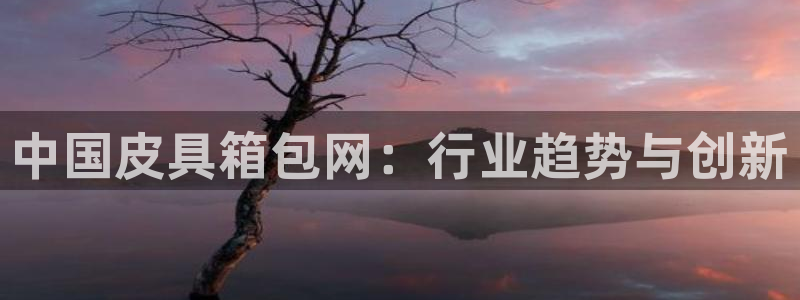 卧龙娱乐主管是谁