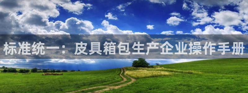 BA娱乐卧龙主管60447