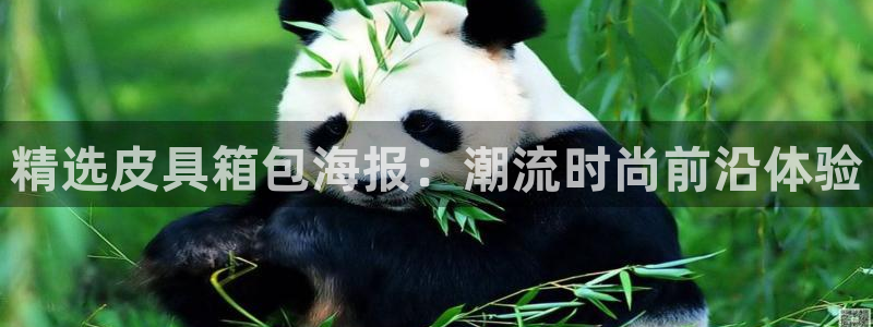 卧龙娱乐是不是骗子