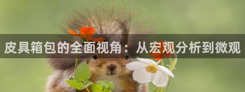 卧龙新款娱乐设备