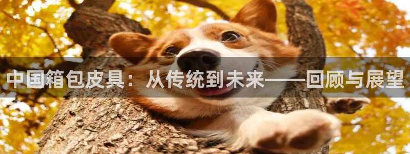 卧龙娱乐app彩票中奖