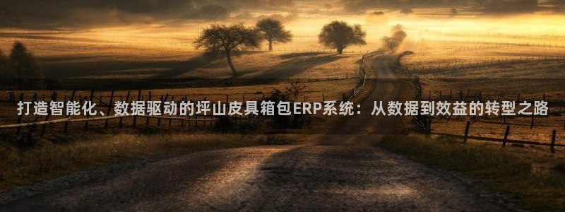 卧龙儿童娱乐海洋球