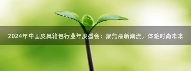 卧龙2神机娱乐代理