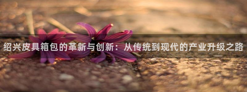 卧龙娱乐在线直播网址