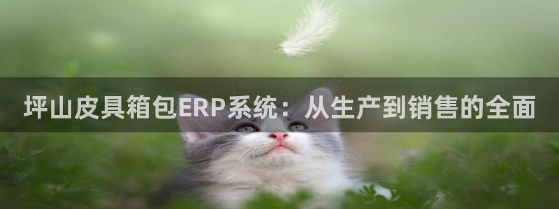 卧龙娱乐挂机软件下载