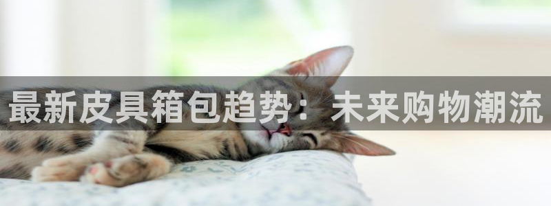 卧龙娱乐右7O667