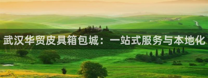 卧龙娱乐设备公司