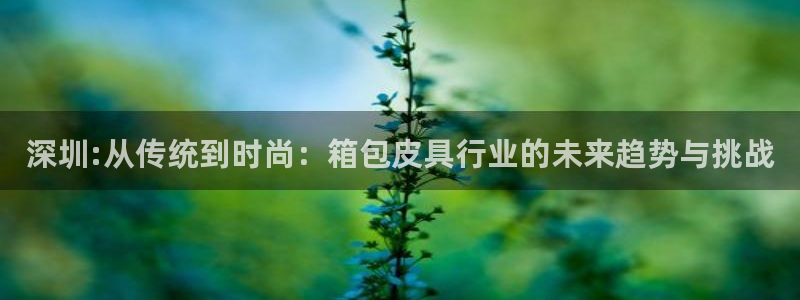 卧龙娱乐招商代理