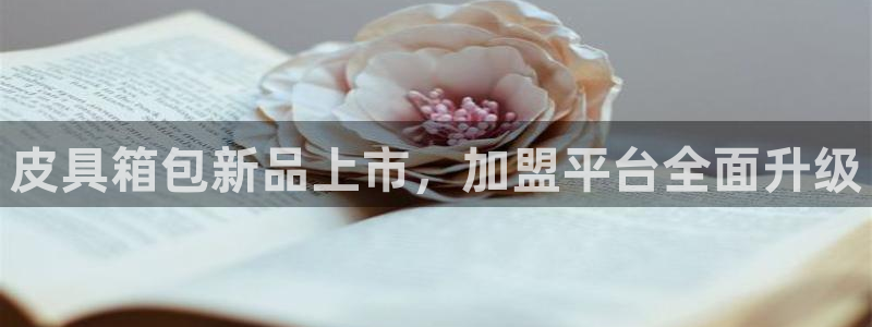 超越娱乐b卧龙313322