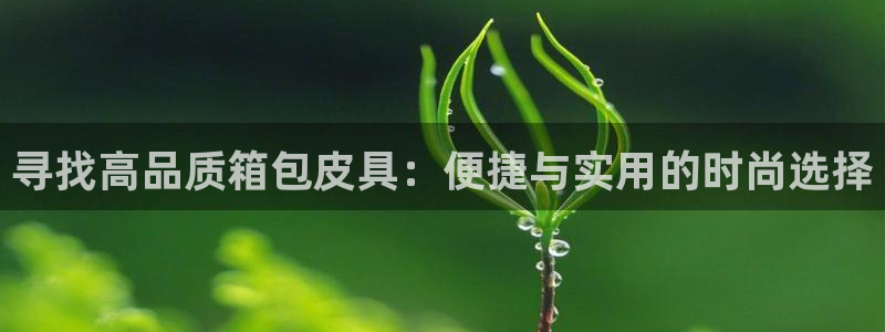 南阳卧龙娱乐会所评价