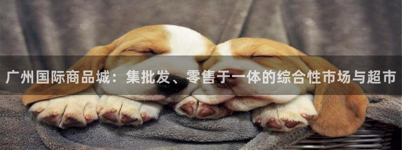 卧龙娱乐有限公司