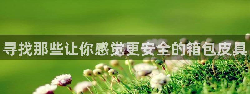 SKY娱乐卧龙招商60447