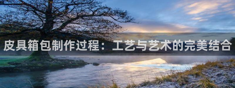 卧龙娱乐总代理电话