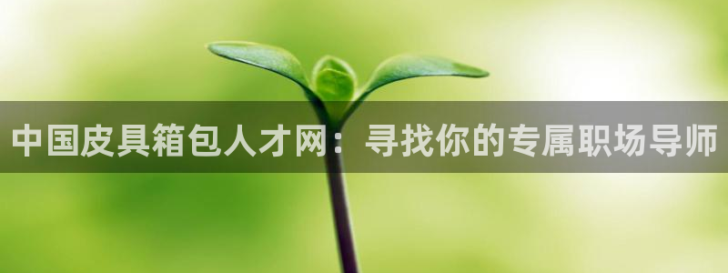 卧龙凤雏娱乐解说