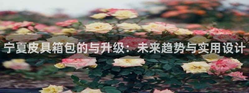 卧龙娱乐彩票兑奖中心