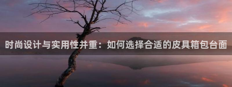 卧龙娱乐设备公司