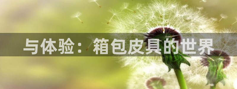 卧龙娱乐注册开户地址