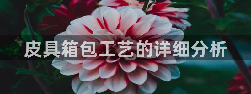 卧龙棋牌娱乐官网