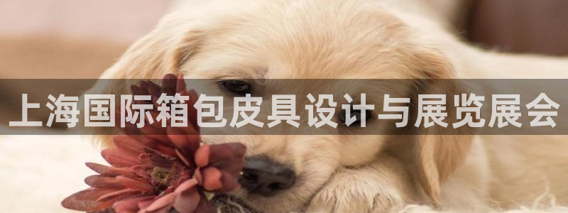 卧龙娱乐地7O667
