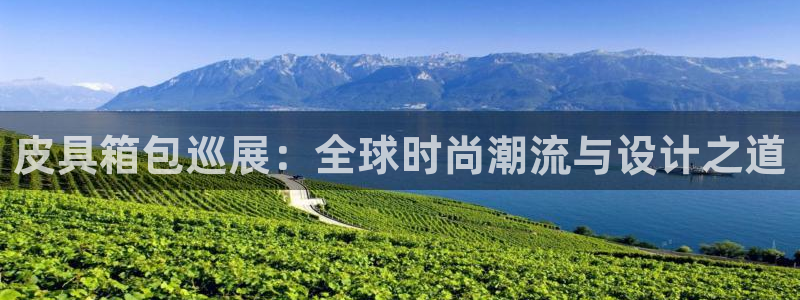 卧龙娱乐不出款了吗