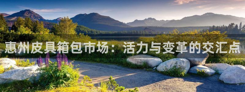 卧龙凤雏娱乐版
