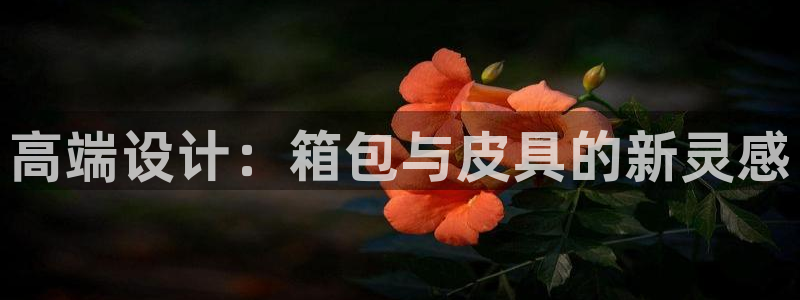 卧龙凤雏娱乐收入
