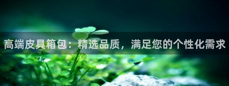 卧龙娱乐主管招聘信息