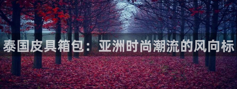 卧龙儿童娱乐设施