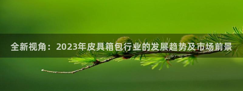 卧龙娱乐 找86555