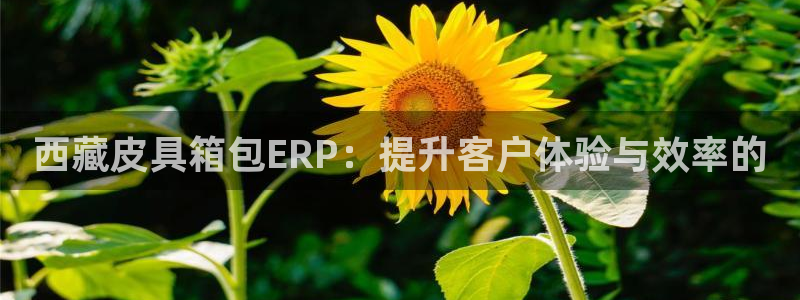 sky娱乐 0 47卧龙