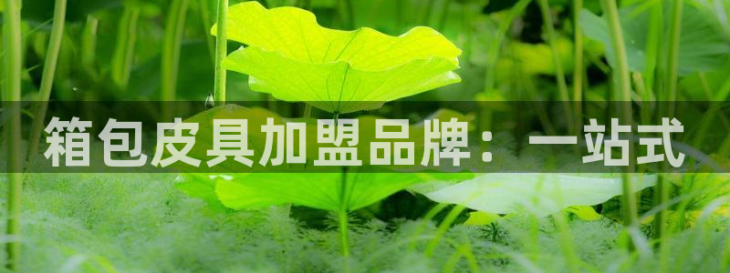 卧龙娱乐属于什么公司