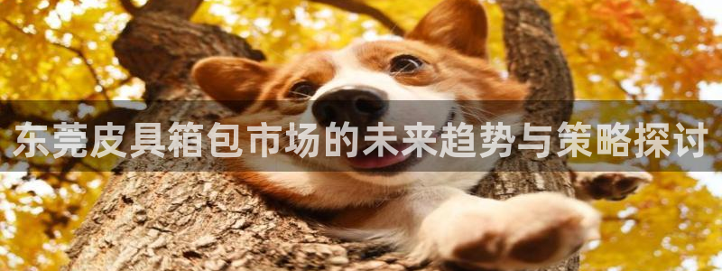 太和卧龙娱乐会所招聘