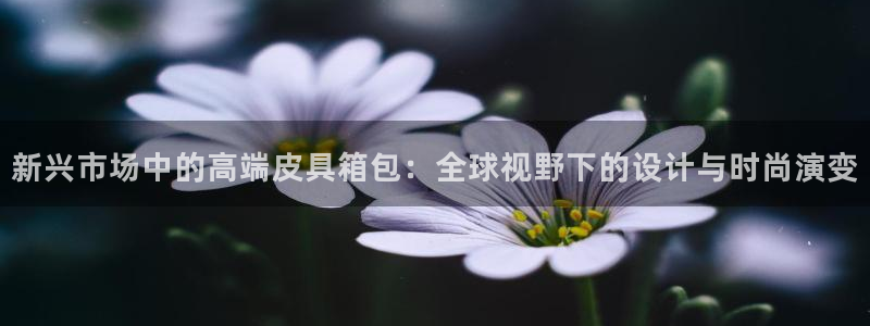 卧龙娱乐计划