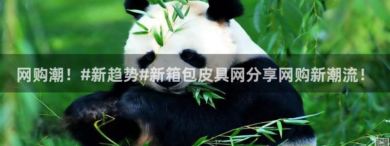 卧龙娱乐是什么