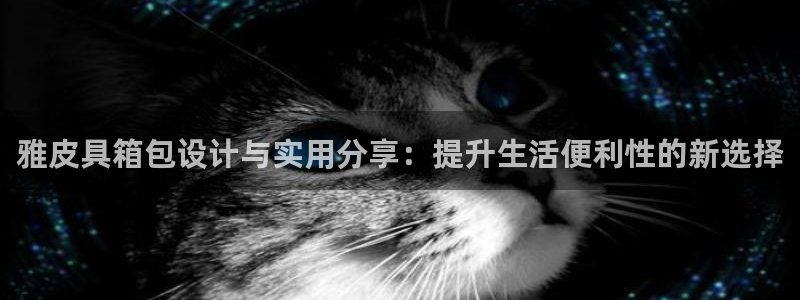 卧龙路凤凰娱乐