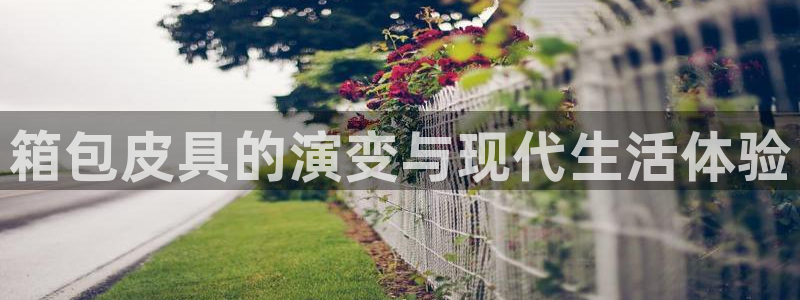 卧龙娱乐在线直播网