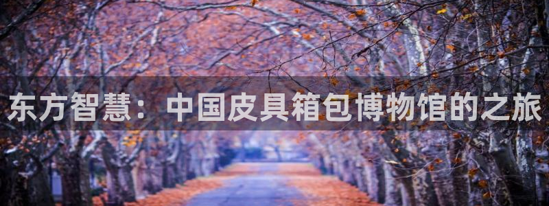 卧龙娱乐招商主管工资