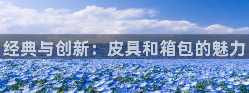 卧龙娱乐挂机软件下载