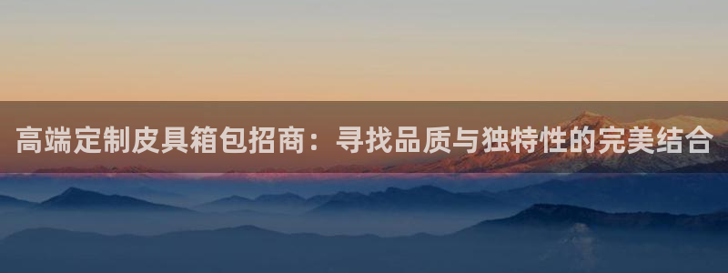 卧龙2神机娱乐代理